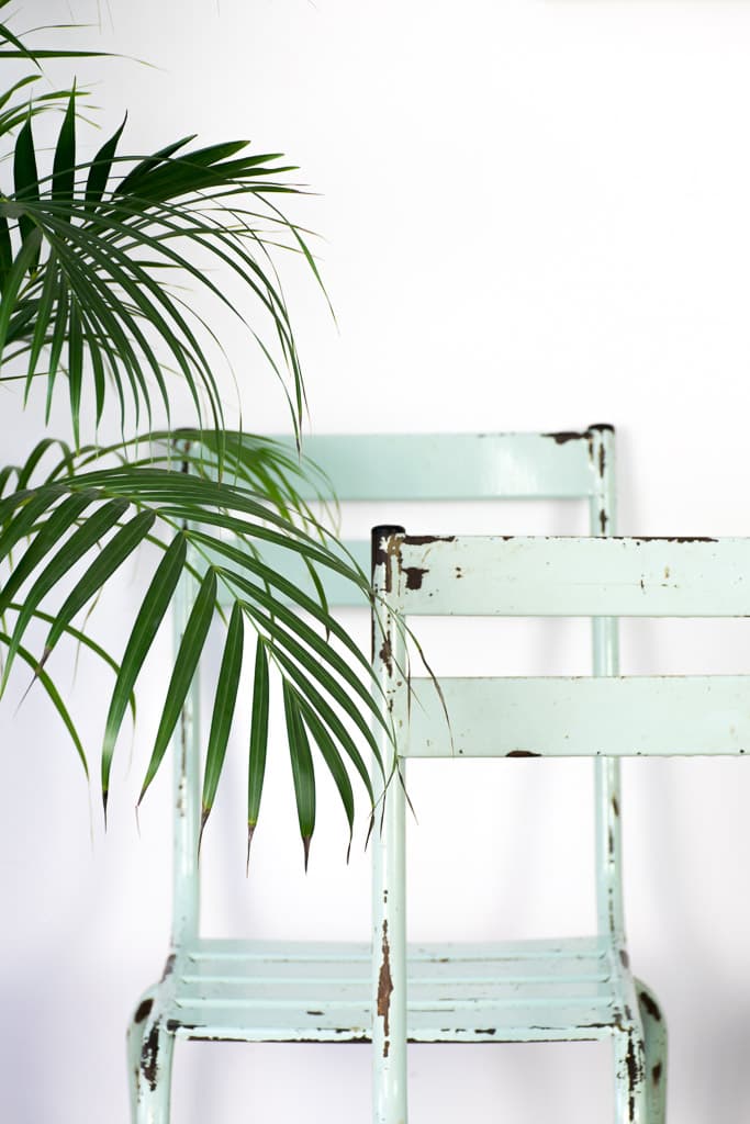 法國老鐵椅 - French antique chairs 3