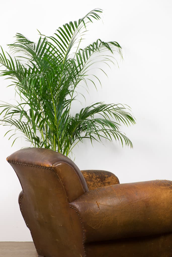 Vintage French Early 20th Century Leather Club Chair - French antique armchairs 4