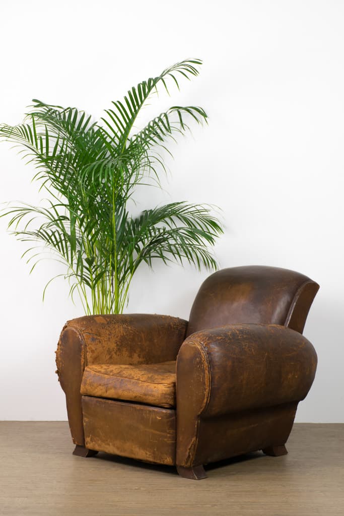 Vintage French Early 20th Century Leather Club Chair - French antique armchairs 2