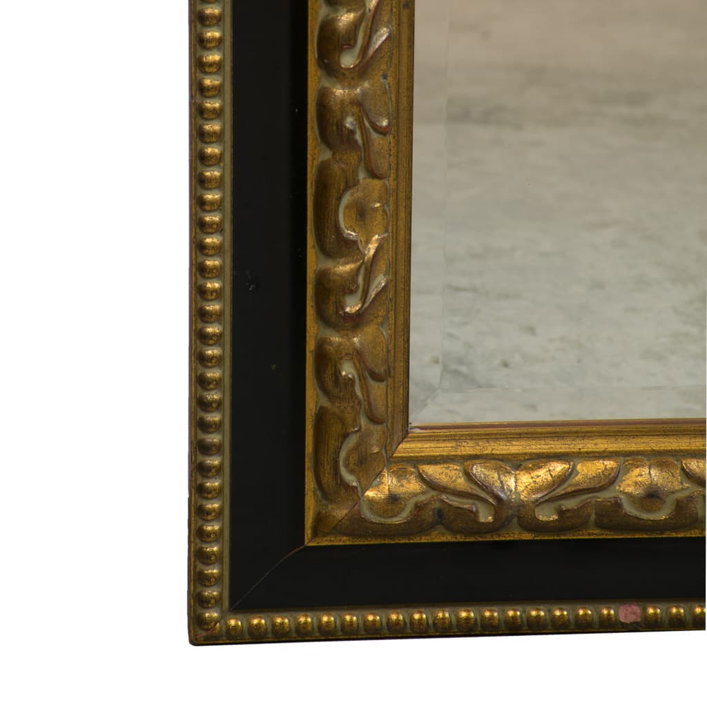 Patinated and Gilt wood Neoclassical Full Height Mirror - French antique mirrors 4