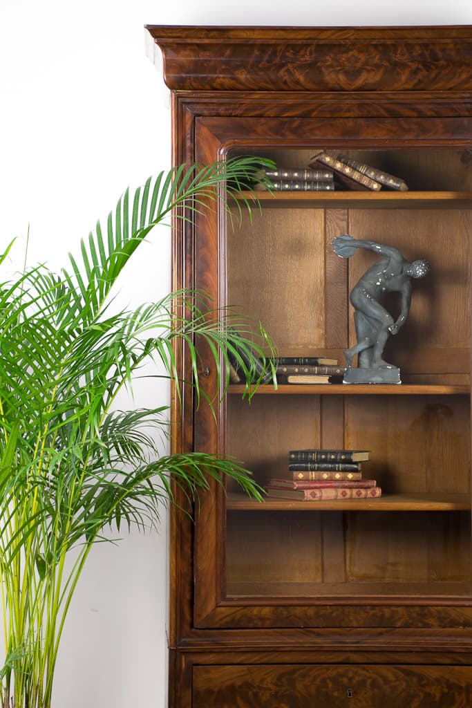 Early 20th Century French Louis-Philippe Revival Mahogany Vitrine Bookcase - French antique display cabinet 2