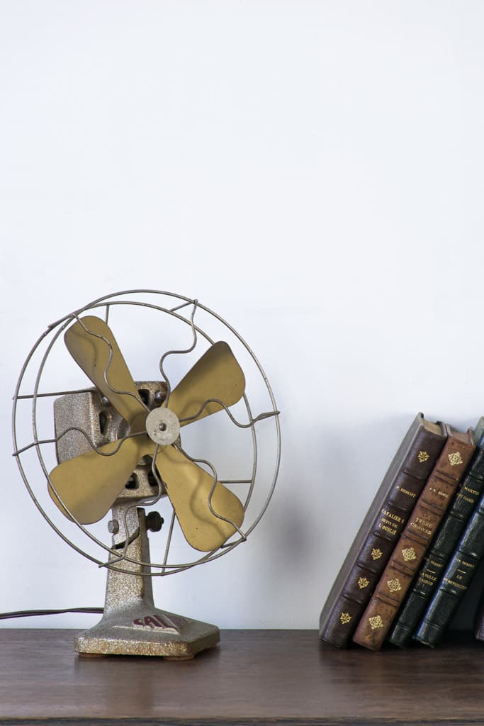 French Decorative Electric Fan - French antique decorative objects 2