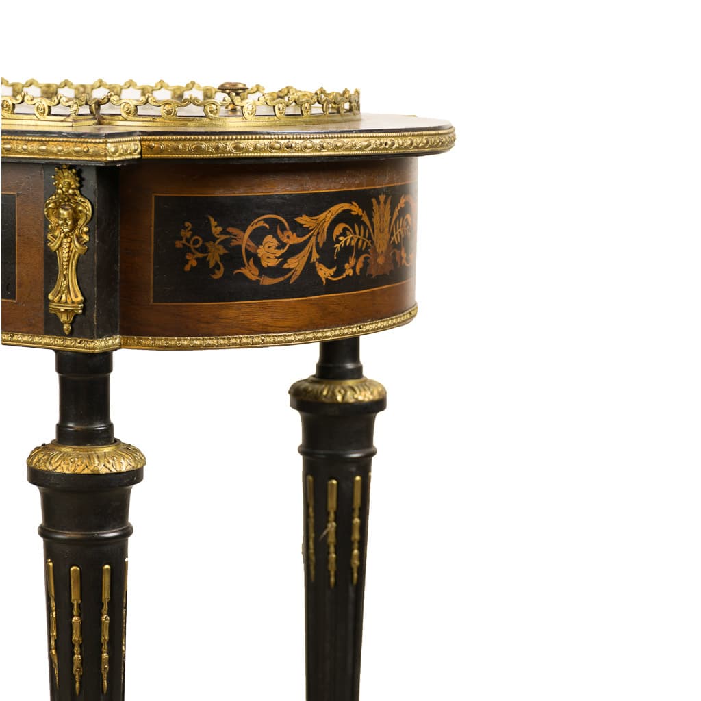 Beautiful 19th Century French Louis XVI side table - French antique side tables 4
