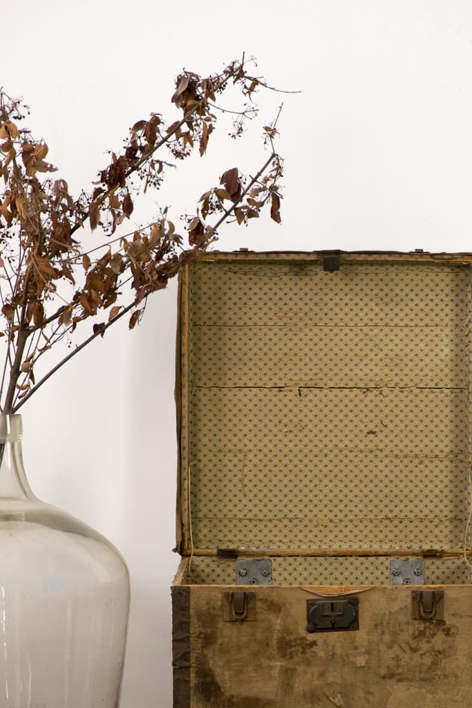 Late 19th Century Square Trunk Case - French antique trunks 2