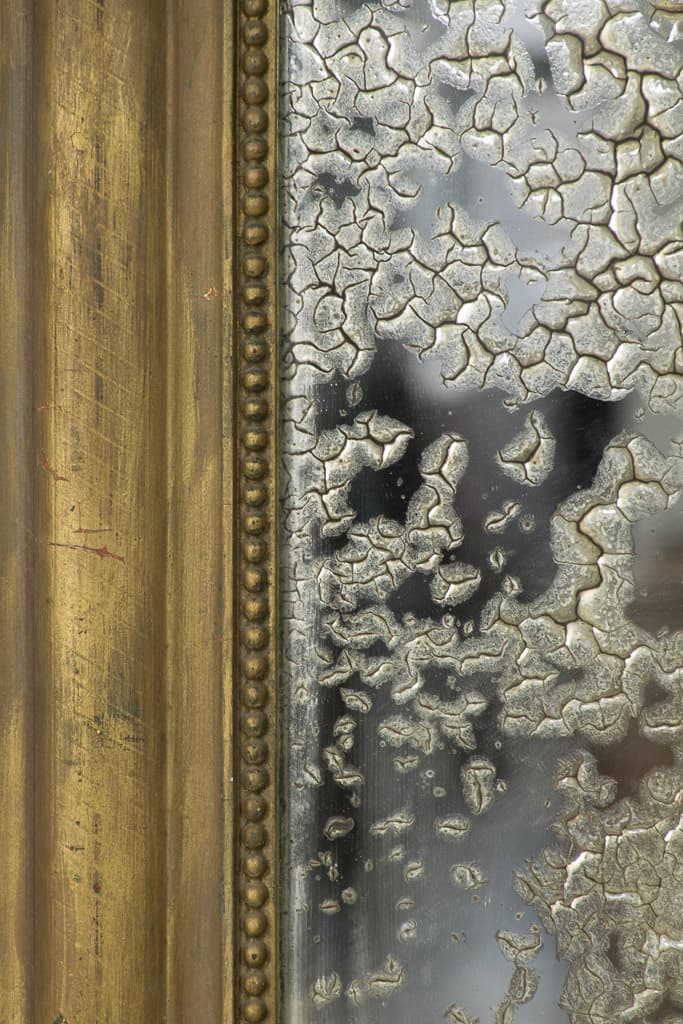 One of a Kind French Louis-Philippe Style Mercury Mirror - French antique mirrors 2